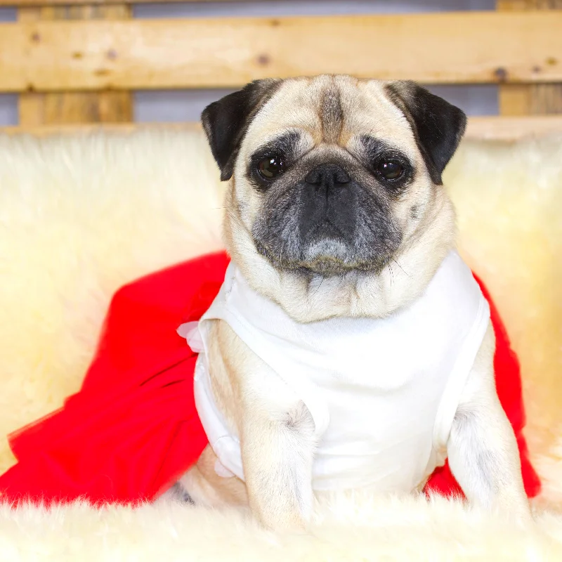 Ballerina Pug Dress