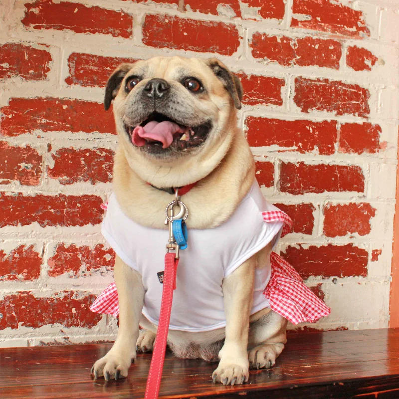 Gingham Pug Dress