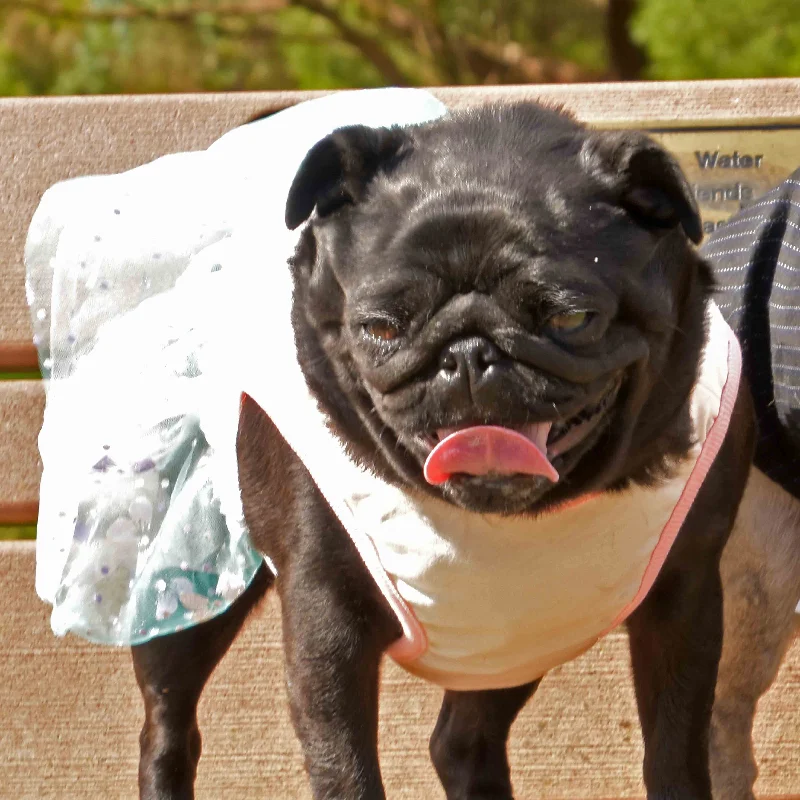 Summer Princess Pug Dress